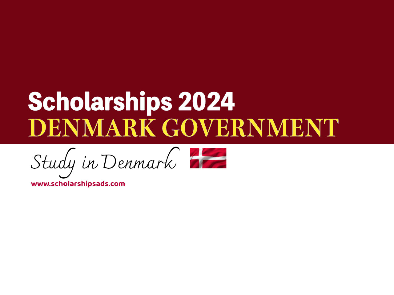 Danish Government Announces Fully Funded Scholarships for International